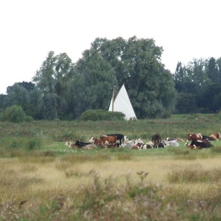 Charming Woodland Lodge 2 Person 1 Bedroom Great Yarmouth Exteriör bild
